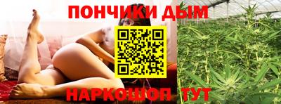 прущие грибы Кандалакша