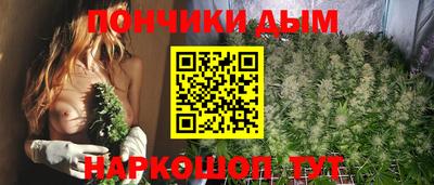 гидра Камышлов