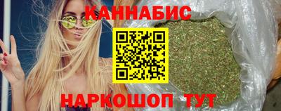 гидра Камышлов