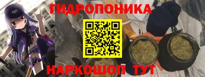 гидра Камышлов