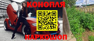гидра Камышлов