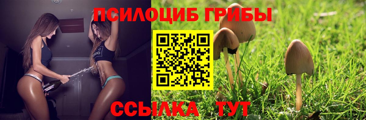 Псилоцибиновые грибы MAGIC MUSHROOMS Таганрог